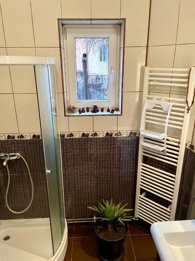 Mosaico Alfetta Hostel ทิมิชัวรา ภายนอก รูปภาพ