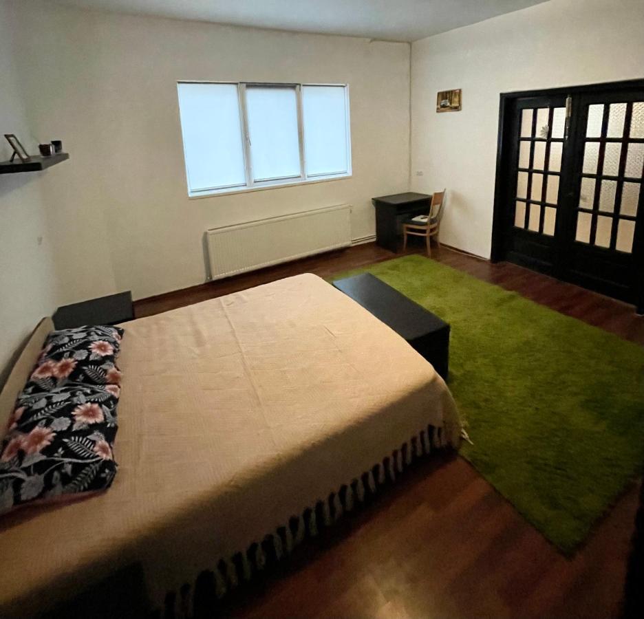 Mosaico Alfetta Hostel ทิมิชัวรา ภายนอก รูปภาพ