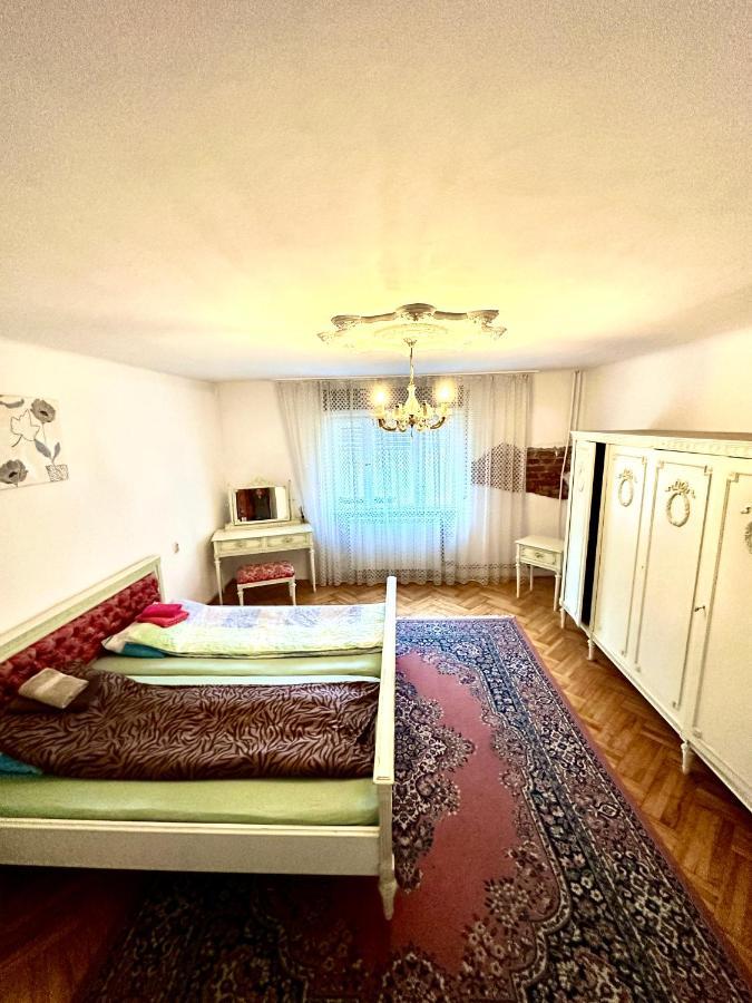 Mosaico Alfetta Hostel ทิมิชัวรา ภายนอก รูปภาพ