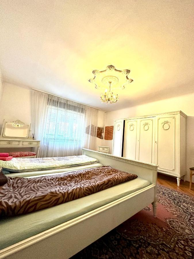 Mosaico Alfetta Hostel ทิมิชัวรา ภายนอก รูปภาพ