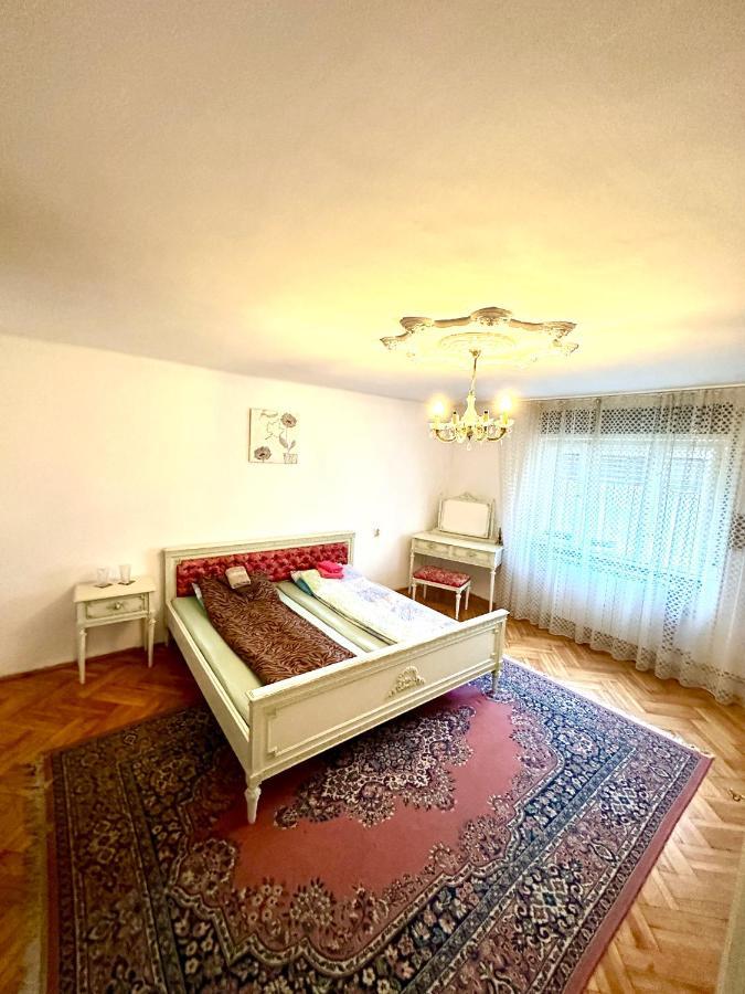 Mosaico Alfetta Hostel ทิมิชัวรา ภายนอก รูปภาพ